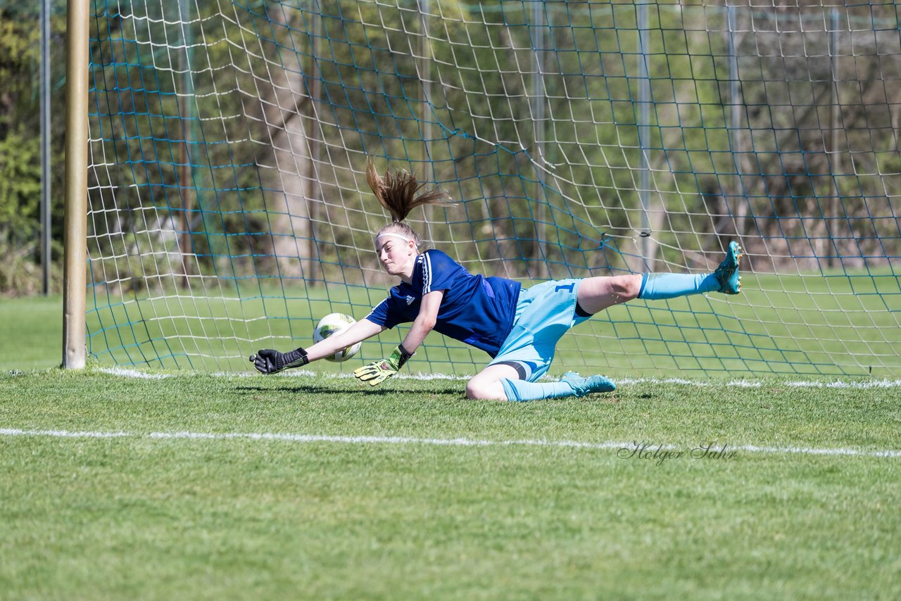 Bild 178 - wBJ Hamburger SV - WfL Wolfsburg : Ergebnis: 2:1